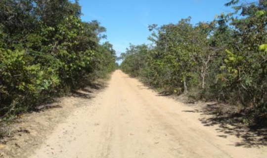 Fazenda Campo Grande (1250 ha) - Chapada Gacha - MG FotoID 65642