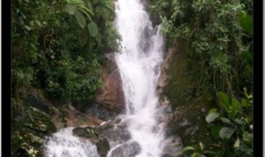 Cachoeira em So Roque FotoID 41496